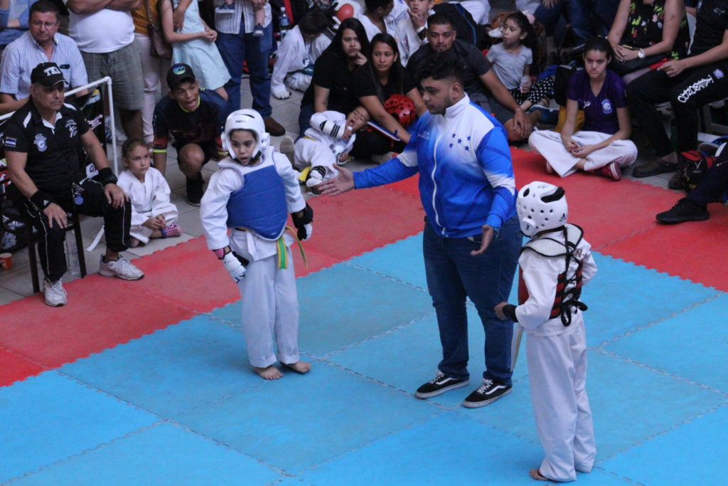 Éxito Rotundo en la IX Copa Ultimate Taekwondo Fighter 2019