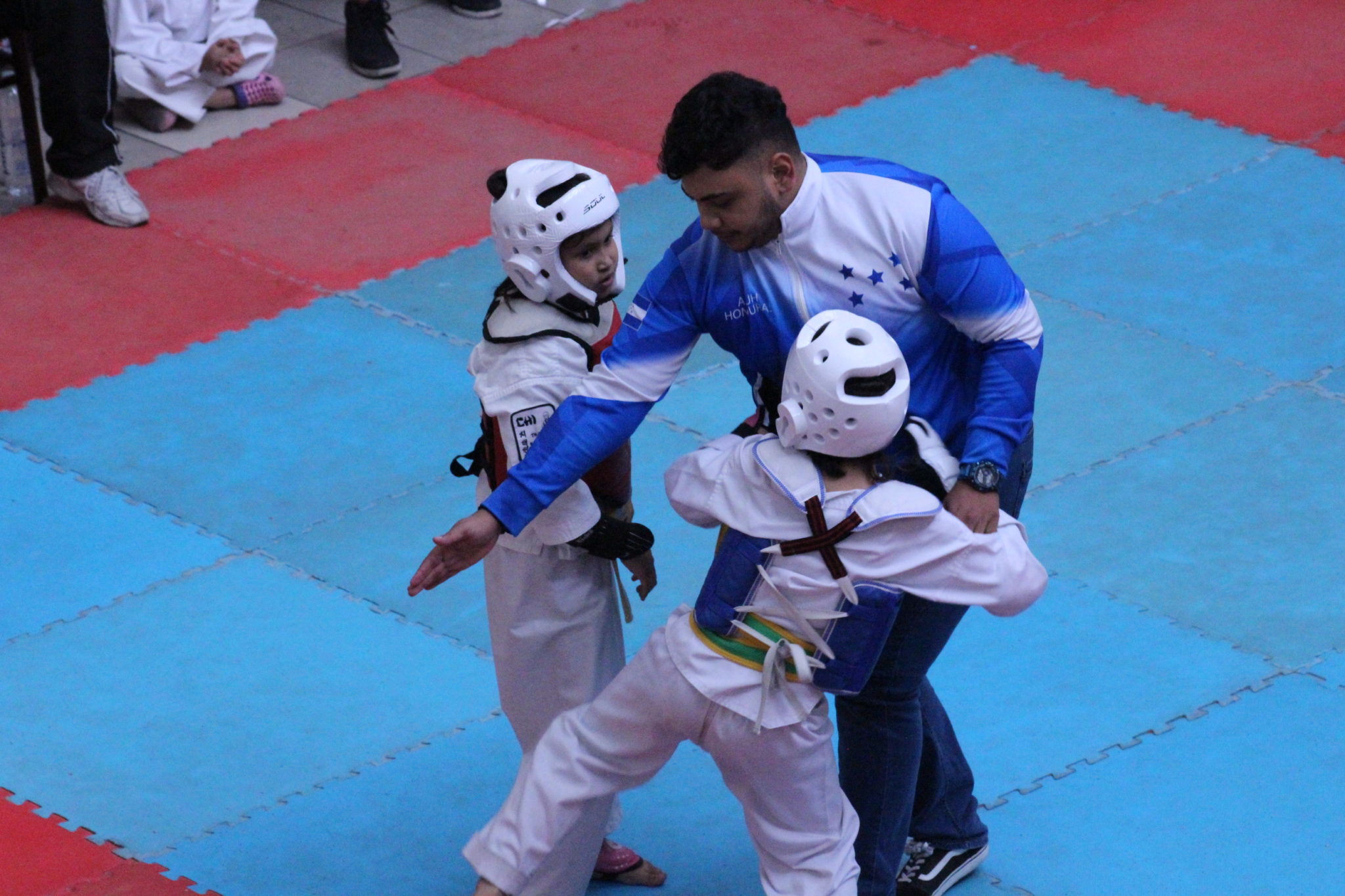Éxito Rotundo en la IX Copa Ultimate Taekwondo Fighter 2019