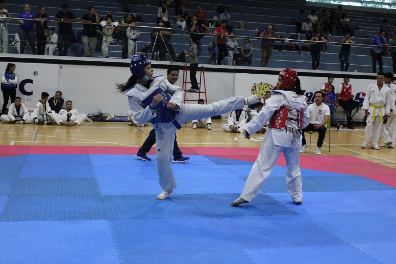 Se viene la Copa UTF 2024 con mas de 300 atletas del taekwondo