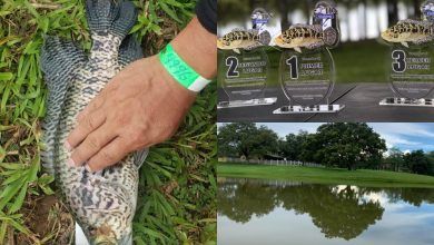 Torneo Pesca Deportiva Ultra Light HNF se disputará en Finca Las Glorias