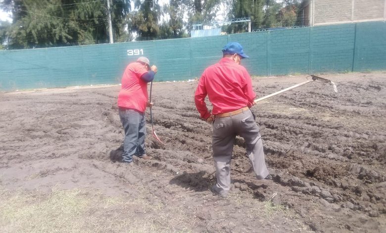 Béisbol Mayor de Tegucigalpa suspendido por recuperación del "Chochi" Sosa